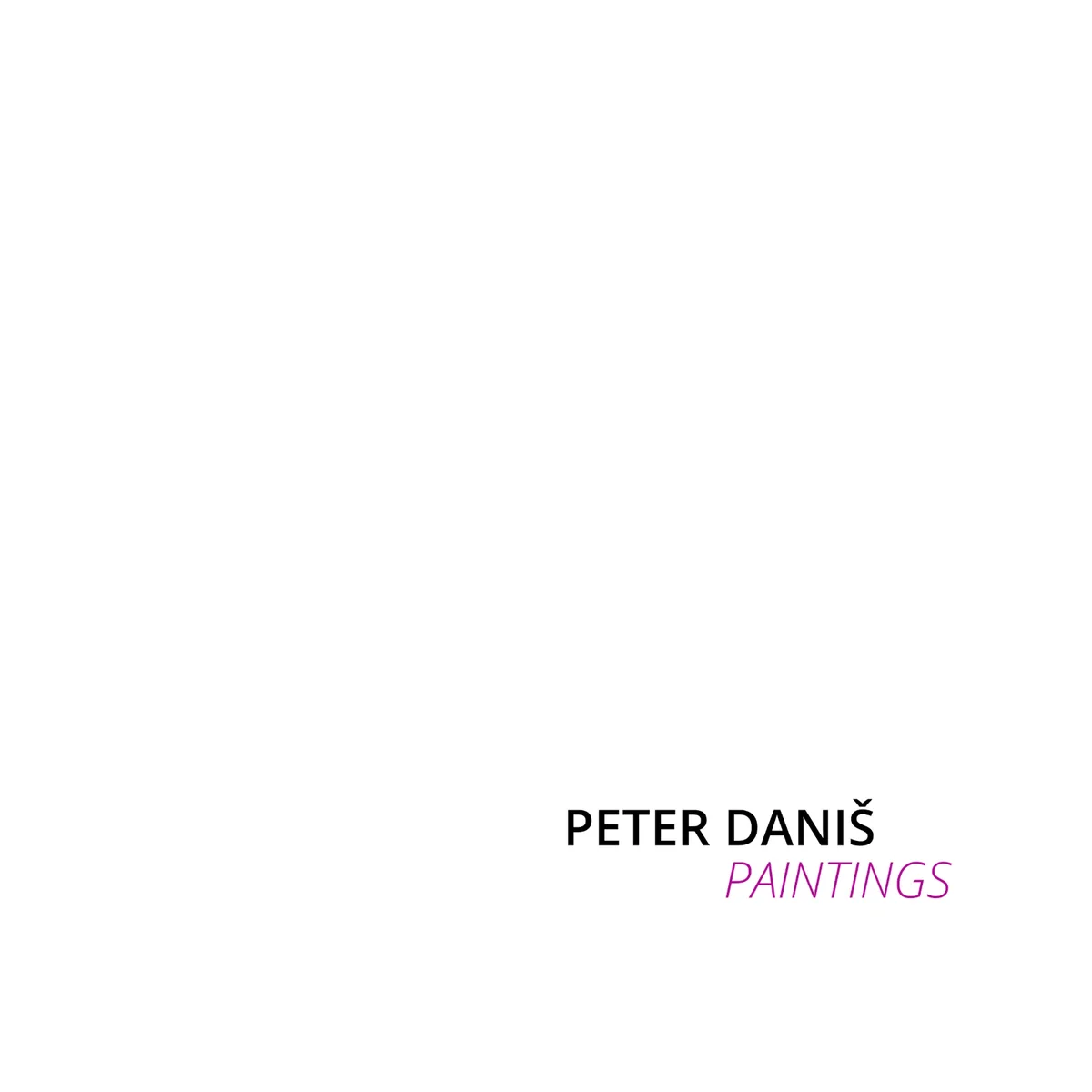 Titulná strana katalógu Peter Daniš Paintings s minimalistickou typografiou